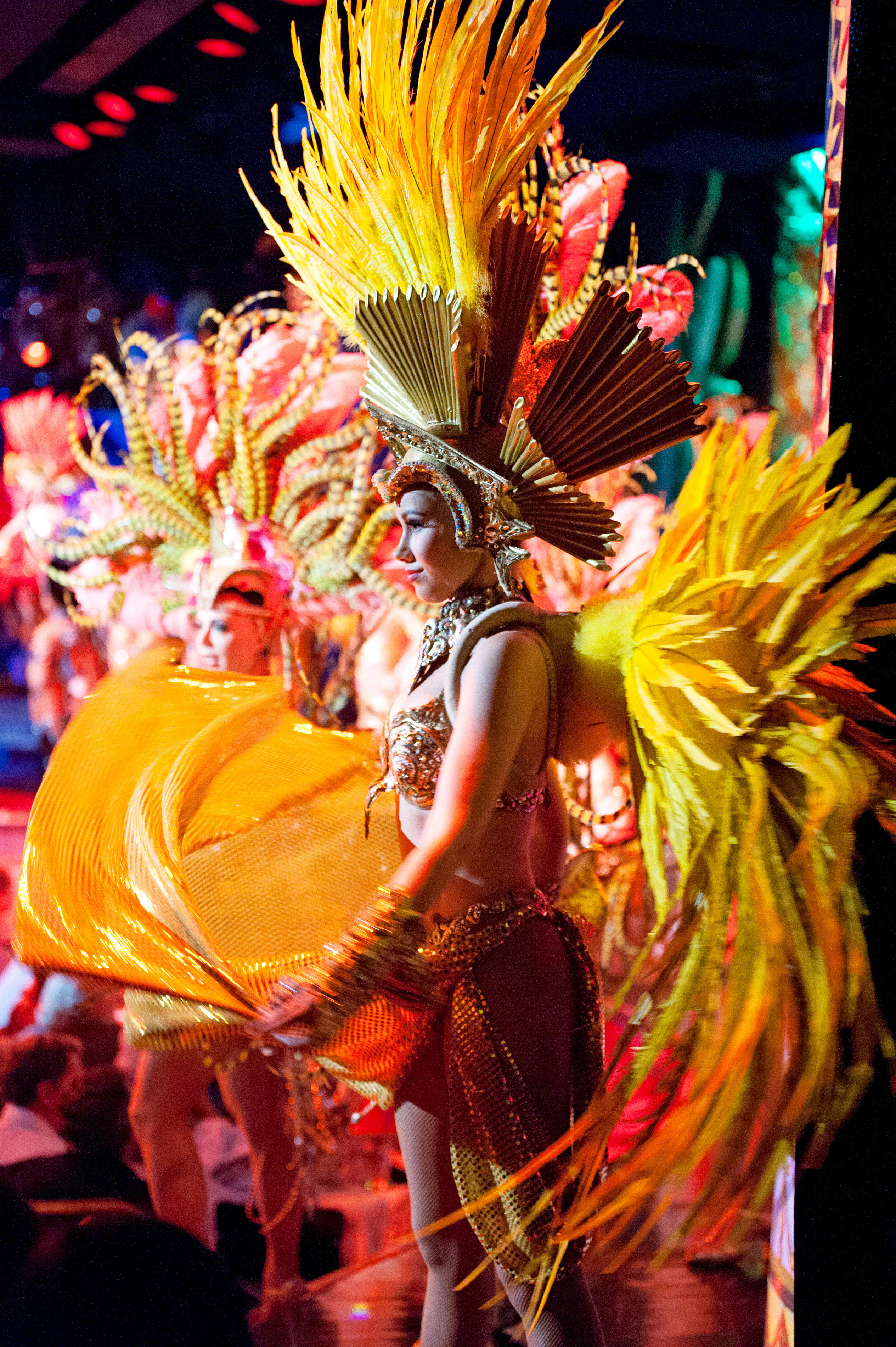 feathersMoulin_Rouge-SandieBertrand_.jpg